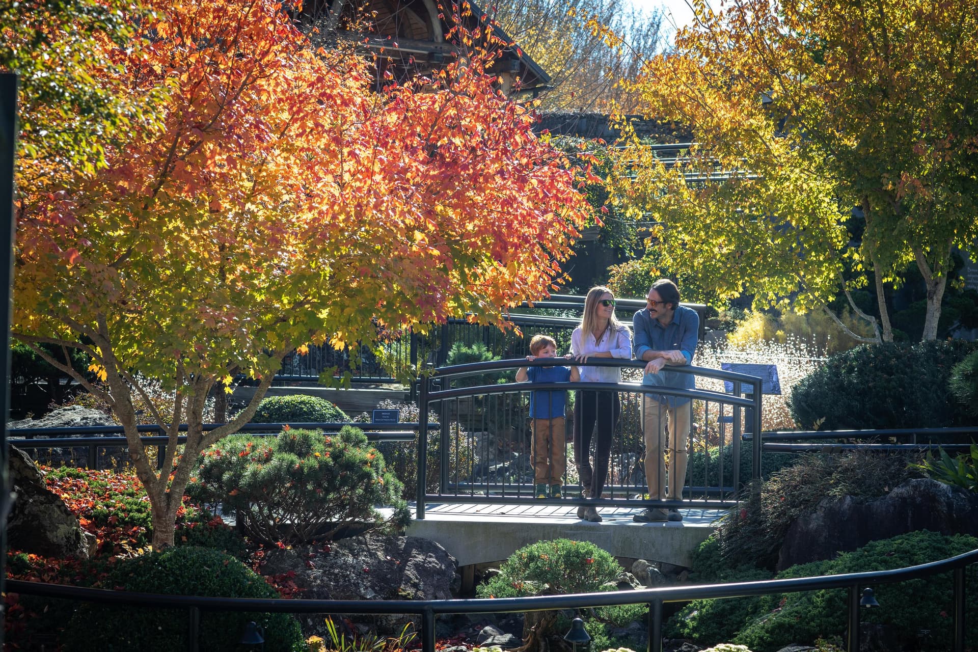 The North Carolina Arboretum | Photo: Jared Kay
