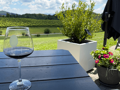 Summit to Sip: Private Guided Hike & Wine Tasting